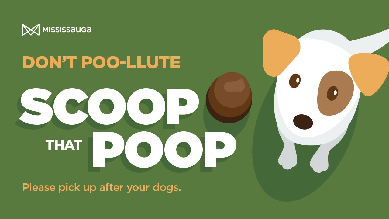 SCOOP THAT POOP! Councillor Stephen Dasko, Ward 1